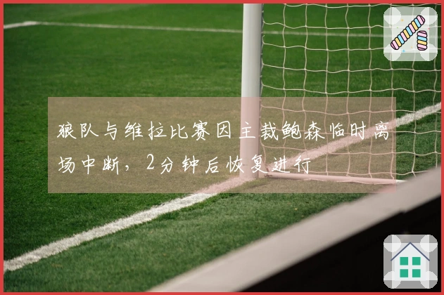 狼队与维拉比赛因主裁鲍森临时离场中断，2分钟后恢复进行