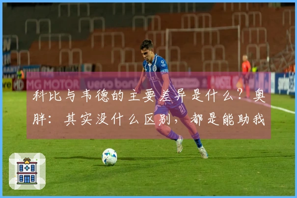 科比与韦德的主要差异是什么？奥胖：其实没什么区别，都是能助我夺冠的伙伴。